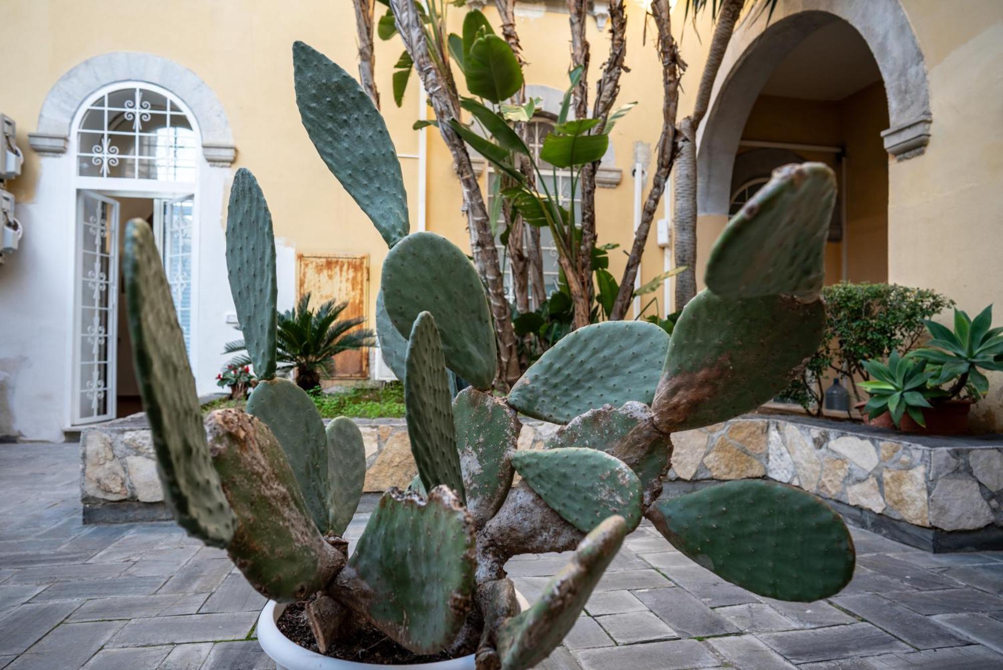 Casa Orchidea D'Oro Βίλα Συρακούσες Εξωτερικό φωτογραφία